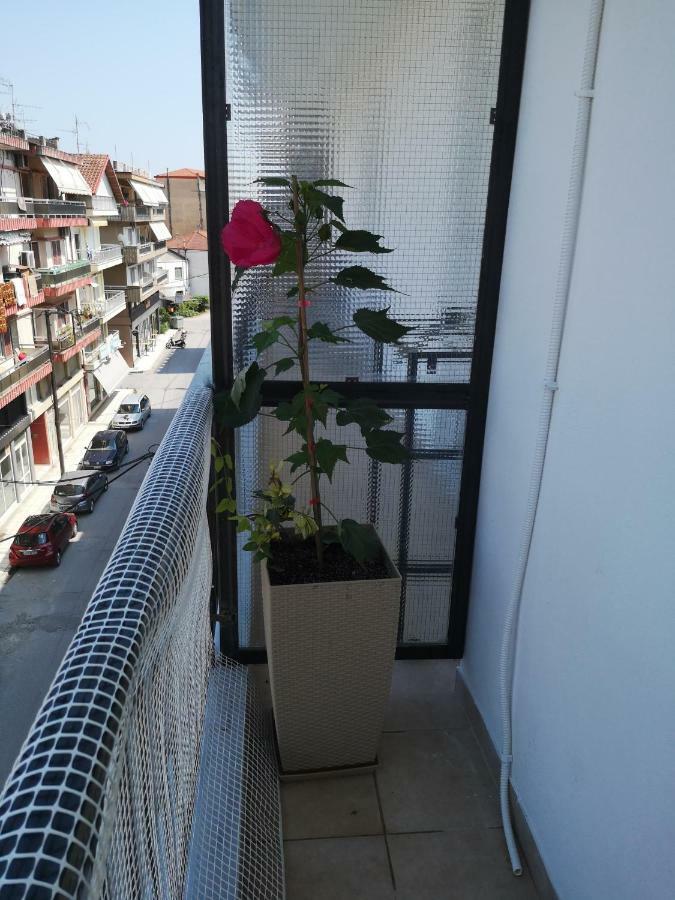 Appartement Alexandros à Aridaía Extérieur photo